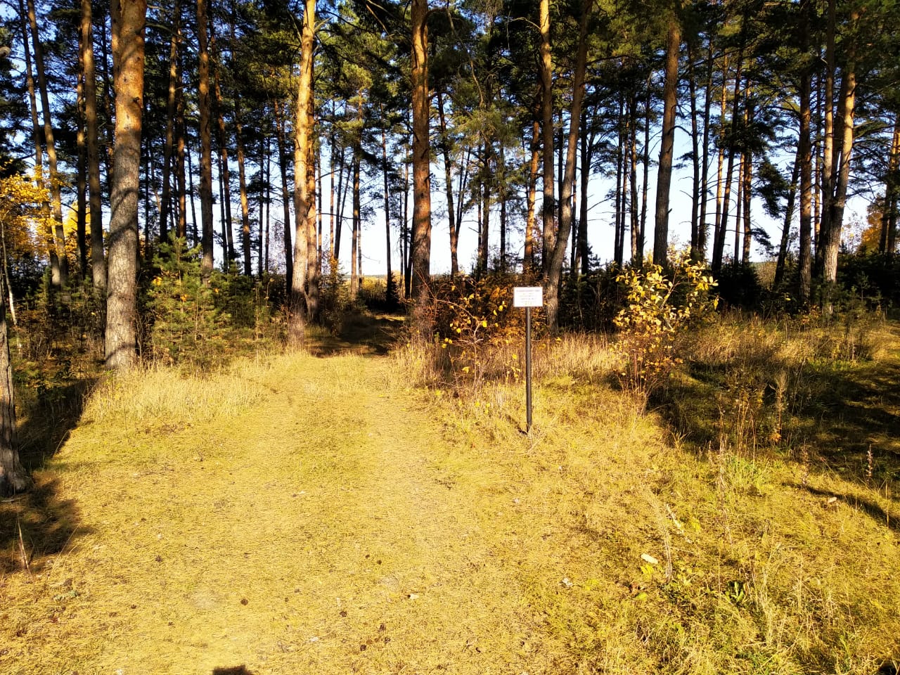 2F5C877A-B5B3-4080-A797-C4F6C61B1F89