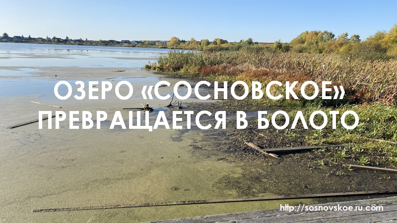 Озеро Сосновское — СРОО по защите озера и села Сосновское
