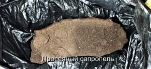 Просеяный сапропель
