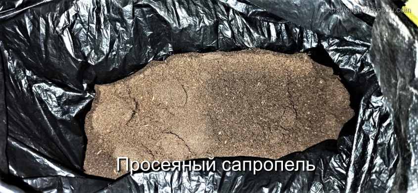 Просеяный сапропель