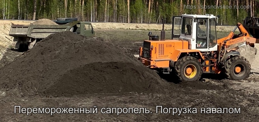 Сапропель навалом. Перемороженный кор_